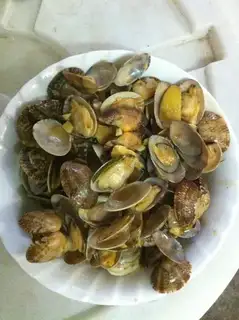 Popper