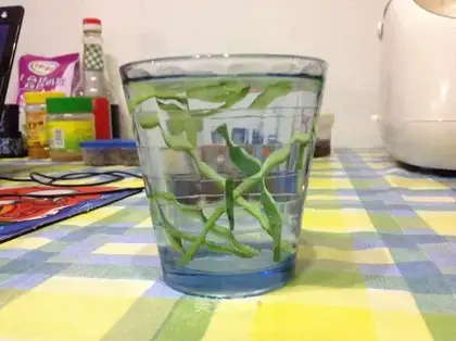 Watermelon tea