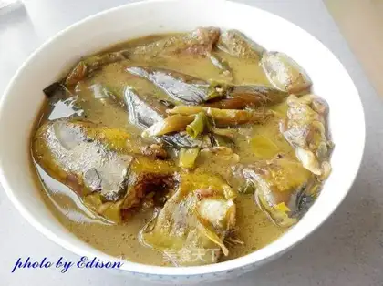 Catfish eggplant