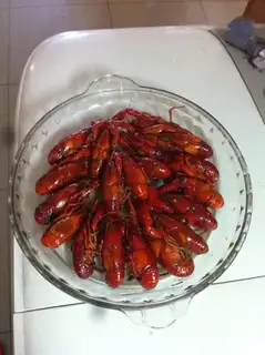 Beer lobster