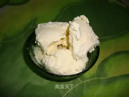 Homemade vanilla ice cream