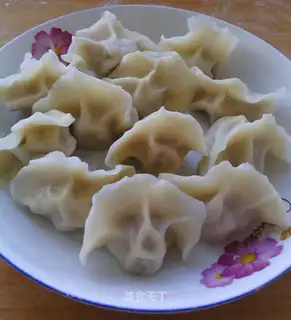 Pork dumplings