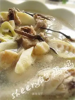Cordyceps Double Fresh Chicken Soup