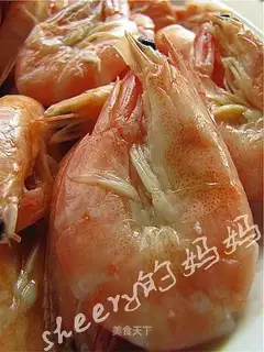 brine shrimp
