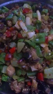 Chicken