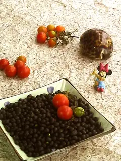 Baked black beans