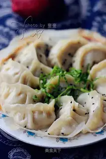 Tofu pork dumplings