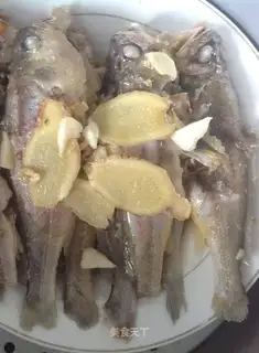 Milky little yellowfish
