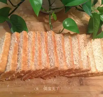 The salty whole wheat toast