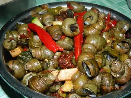 The snail