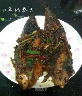 Red-burned mackerel