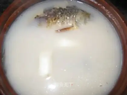 Squirty fish