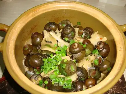 Sour field snail