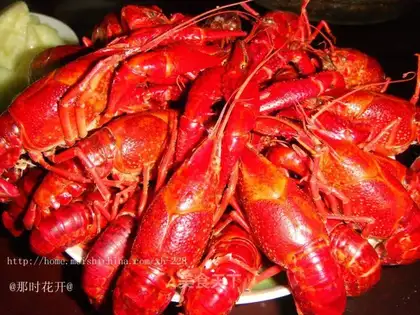 Vacuate the lobster