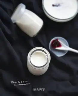 Homemade yogurt
