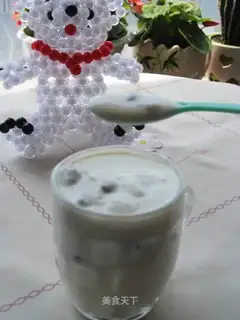 Bean yogurt