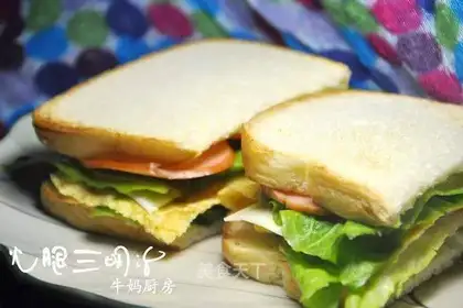ham sandwich