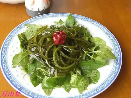 The seaweed