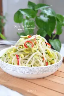 cucumber sprouts