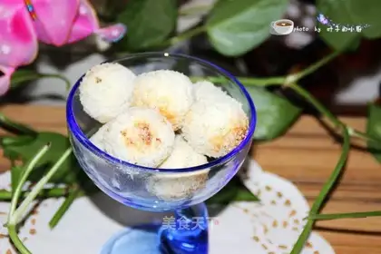 Protein coconut ball