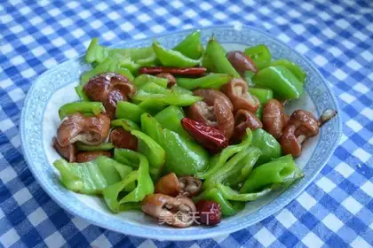 Fat intestines