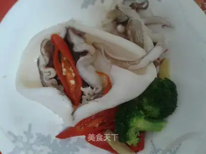 Squid