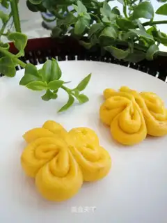 Pumpkin butterflies