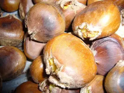 High pressure cooker chestnuts