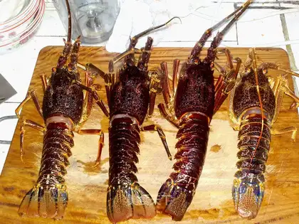 Curry lobster