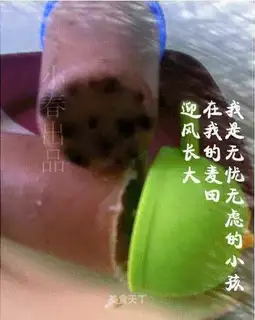 Small bean popsicles