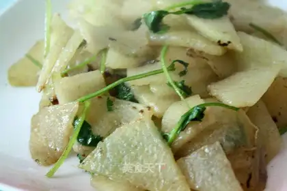 cilantro wax gourd