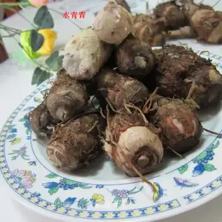 Potato
