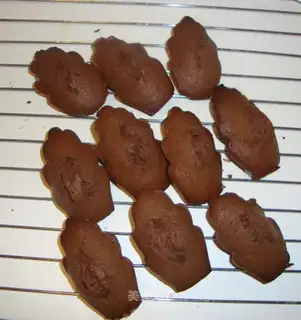 Chocolate Madeleine