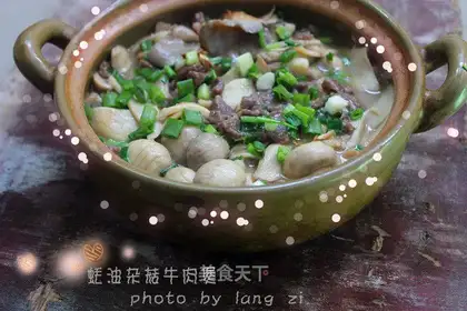 Pelican mushroom beef