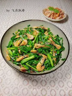Shrimp
