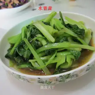 Piggy cabbage
