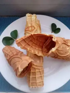 Cricket omelet