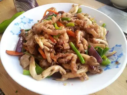 The octopus