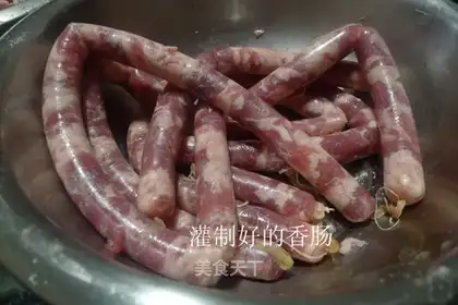 Splendid sausage