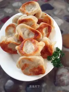 Fried dumplings