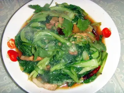 Fat cabbage