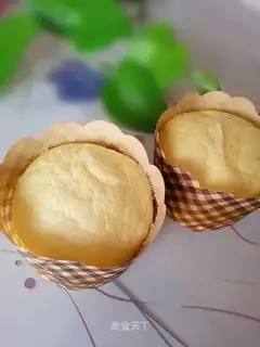 Yogurt cupcakes