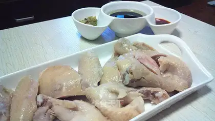White pheasant