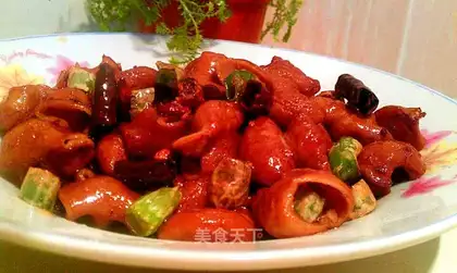 Dried intestines