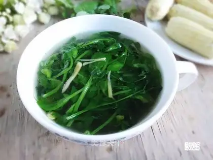 Wild fungus pep soup