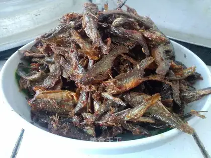 Little fish