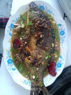 Red fish