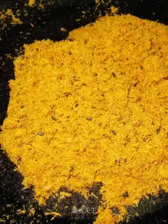 Curry pine