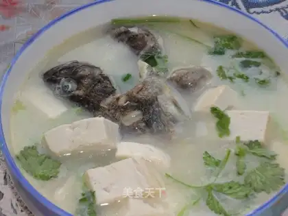 Black fish and tofu soup