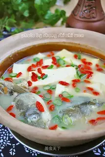 Coughfish tofu